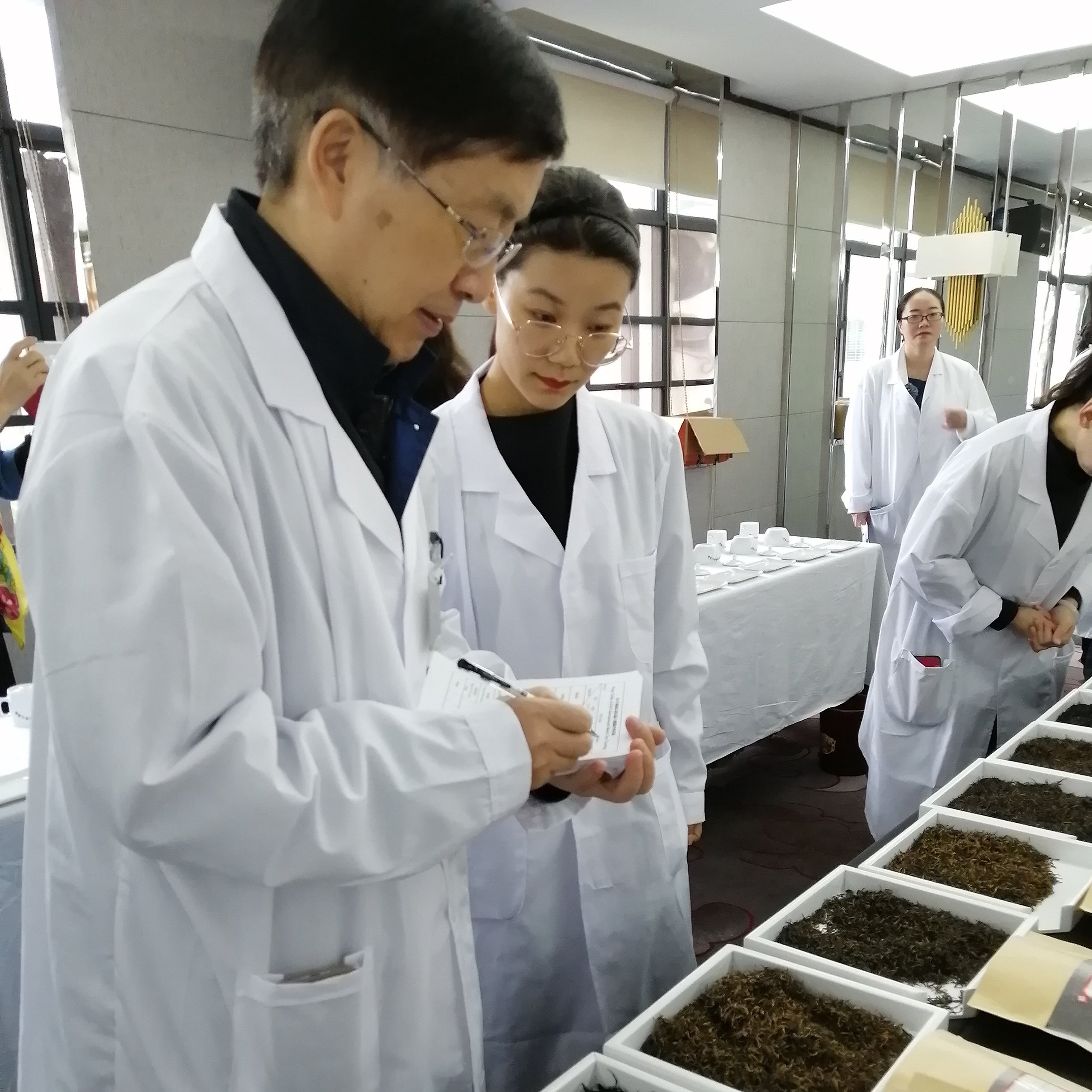 China 2019 International Black Tea Tasting Competition - Dry leaves evaluation