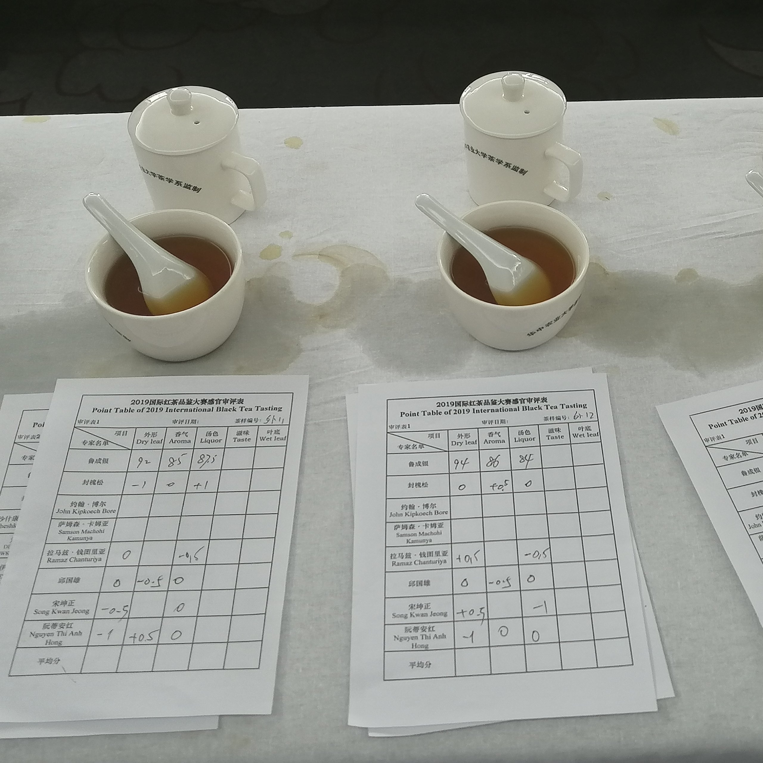 China 2019 International Black Tea Tasting Competition - Tea form evaluation