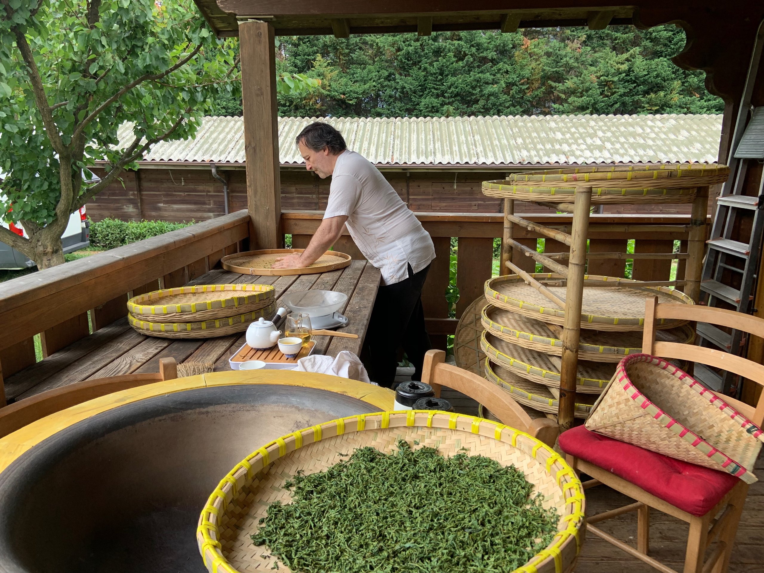 Marco Bertona Italian Master Tea Maker
